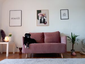 Ankommen, wohlfühlen, vertrauen , loslassen 